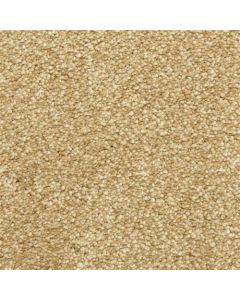 Masland Staccato Cadence Carpet - 9591-332