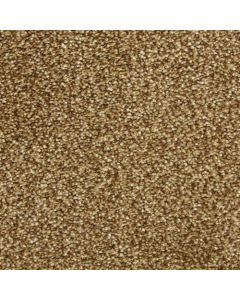 Masland Staccato Orchestra Carpet - 9591-362