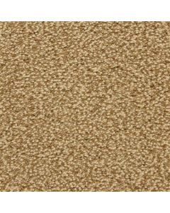 Masland Staccato Allegro Carpet - 9591-372