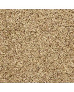 Masland Staccato Adagio Carpet - 9591-787