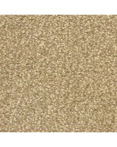 Masland Staccato Rhythm Carpet - 9591-862