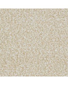 Masland Sunset Key Everlasting Carpet - 9669-212
