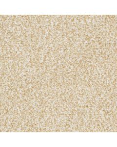 Masland Sunset Key Ageless Carpet - 9669-213
