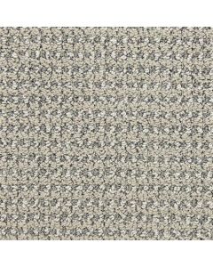 Masland Tango Box Step Carpet - 9569-847