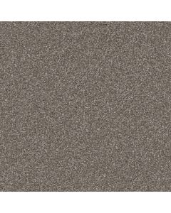 Masland Tracker Lady Carpet - 9692-888