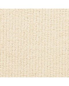 Masland Trademark Discreet Carpet - 9627-146