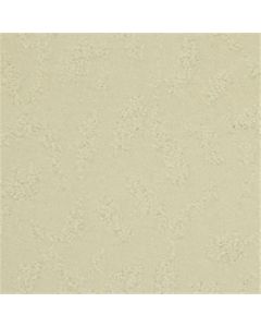 Masland True Luxury Morning Light Carpet - 9541-119