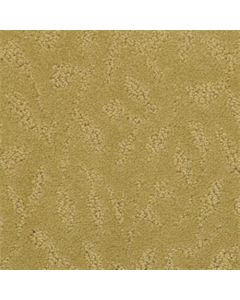 Masland True Luxury Tannery Carpet - 9541-364