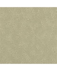 Masland True Luxury Fossil Carpet - 9541-767