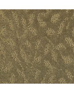 Masland True Luxury Shale Carpet - 9541-898