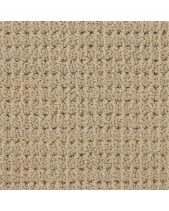 Masland Urban Escape Shingle Carpet - 9595-217