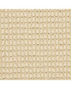 Masland Urban Escape Endless Carpet - 9595-220