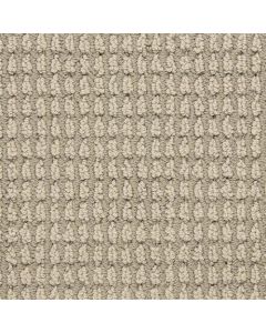Masland Urban Escape Backdrop Carpet - 9595-221