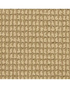 Masland Urban Escape Rushing Carpet - 9595-226