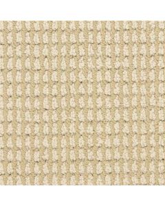 Masland Urban Escape Contented Carpet - 9595-229