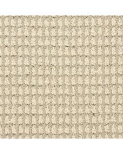 Masland Urban Escape Eclipse Carpet - 9595-231
