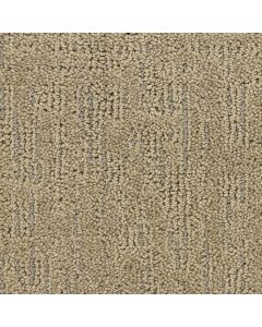 Masland Ursa Planet Carpet - 9560-566