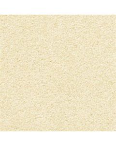 Masland Vero Beach Bavarian Cream Carpet - 9551-143
