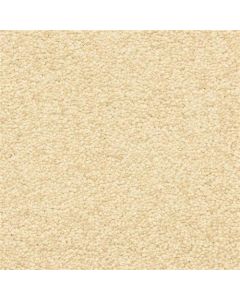 Masland Vero Beach Brazil Nut Carpet - 9551-238