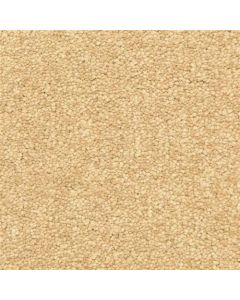 Masland Vero Beach Burma Carpet - 9551-322