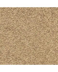 Masland Vero Beach Bungalow Carpet - 9551-358