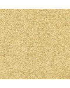 Masland Vero Beach Bronze Carpet - 9551-468