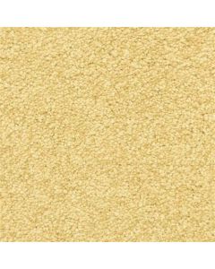 Masland Vero Beach Cheshire Carpet - 9551-490