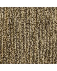 Masland Vivacity Sparkle Carpet - 9601-132