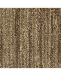 Masland Vivacity Ardor Carpet - 9601-210