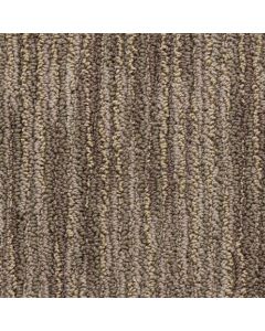 Masland Vivacity Vitality Carpet - 9601-358