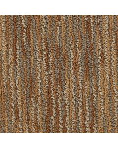 Masland Vivacity Vigor Carpet - 9601-912