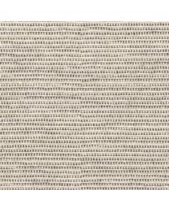 Masland Weaver Dobby Carpet - 9168-989