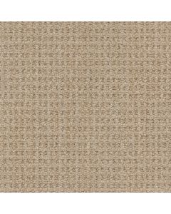 Masland Winslow Fay Canyon Carpet - 9695-757