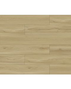 Megaclic Newton MCAS-3208 — close-up plank, overhead view