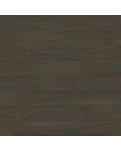 PARADIGM NIGHTINGALE PPPSPC2031 PERFORMER PLUS COLLECTION