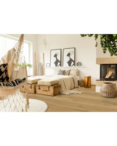 NIMBUS, 40-101-SH013-S2, BONSAI COLLECTION, NEXXACORE