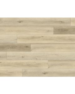 PARADIGM OATS PPSPC2029 PERFORMER 20MM COLLECTION