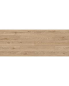 Megaclic Palmier MCDN-8707 — close-up plank, overhead view