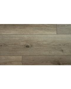 PECAN, PPSPC1212, PARADIGM PERFORMER COLLECTION
