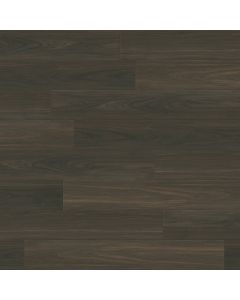 PARADIGM PARROT PPPSPC2032 PERFORMER PLUS COLLECTION
