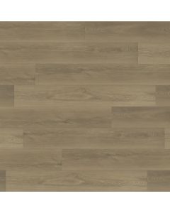 PARADIGM PARTRIDGE PPPSPC2024 PERFORMER PLUS COLLECTION