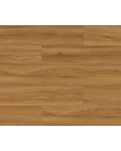 Megaclic Paxon MCAS-3209 — close-up plank, overhead view