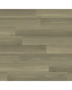 PARADIGM PENGUIN PPPSPC2036 PERFORMER PLUS COLLECTION