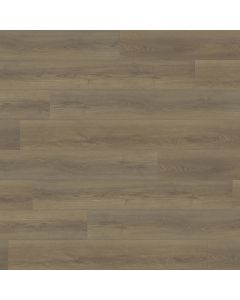 PARADIGM PHEASANT PPPSPC2025 PERFORMER PLUS COLLECTION