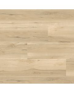 plank image for MSI-13783