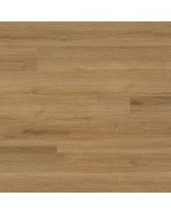 plank image for MSI-13700