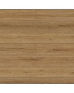 plank image for MSI-13721