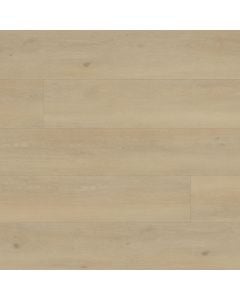 plank image for MSI-13838