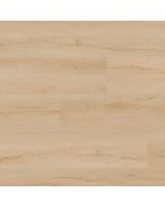 plank image for MSI-13786