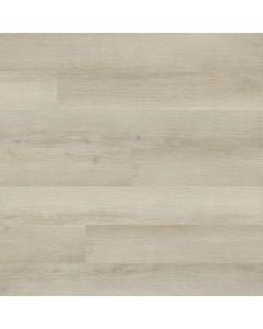 plank image for MSI-13701